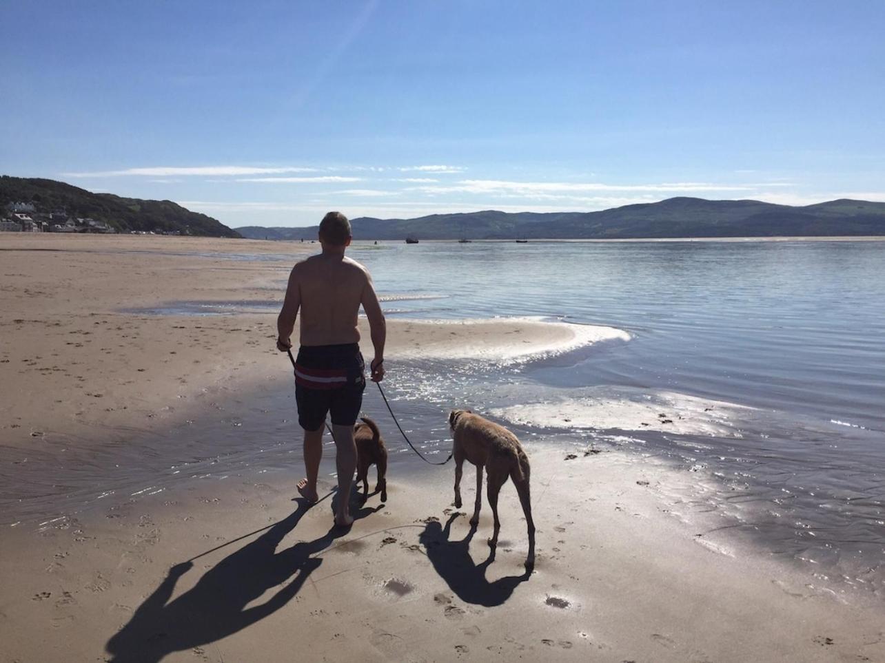 Sunny Shores Aberdyfi Eksteriør billede